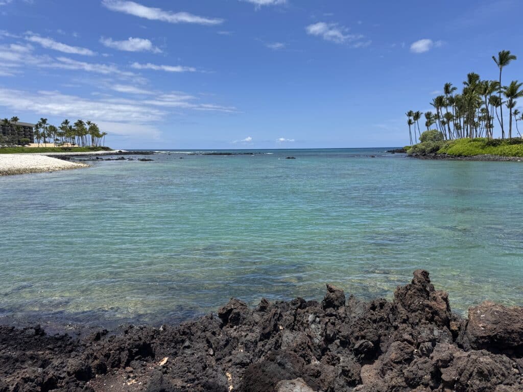 Snorkeling in Kona