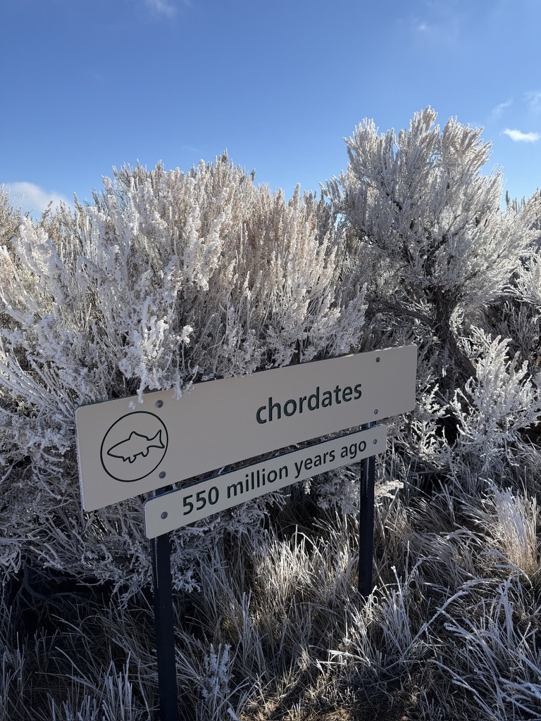 Fossil Butte National Monument