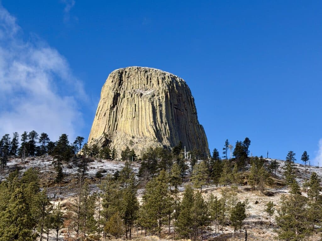 Devils Mount Tree Stopping by Sturgis and Devils Tower: From Mount Rushmore to ...